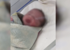 Bebê jogado de barranco em Manaus é resgatado com vida e recebe cuidados na maternidade
